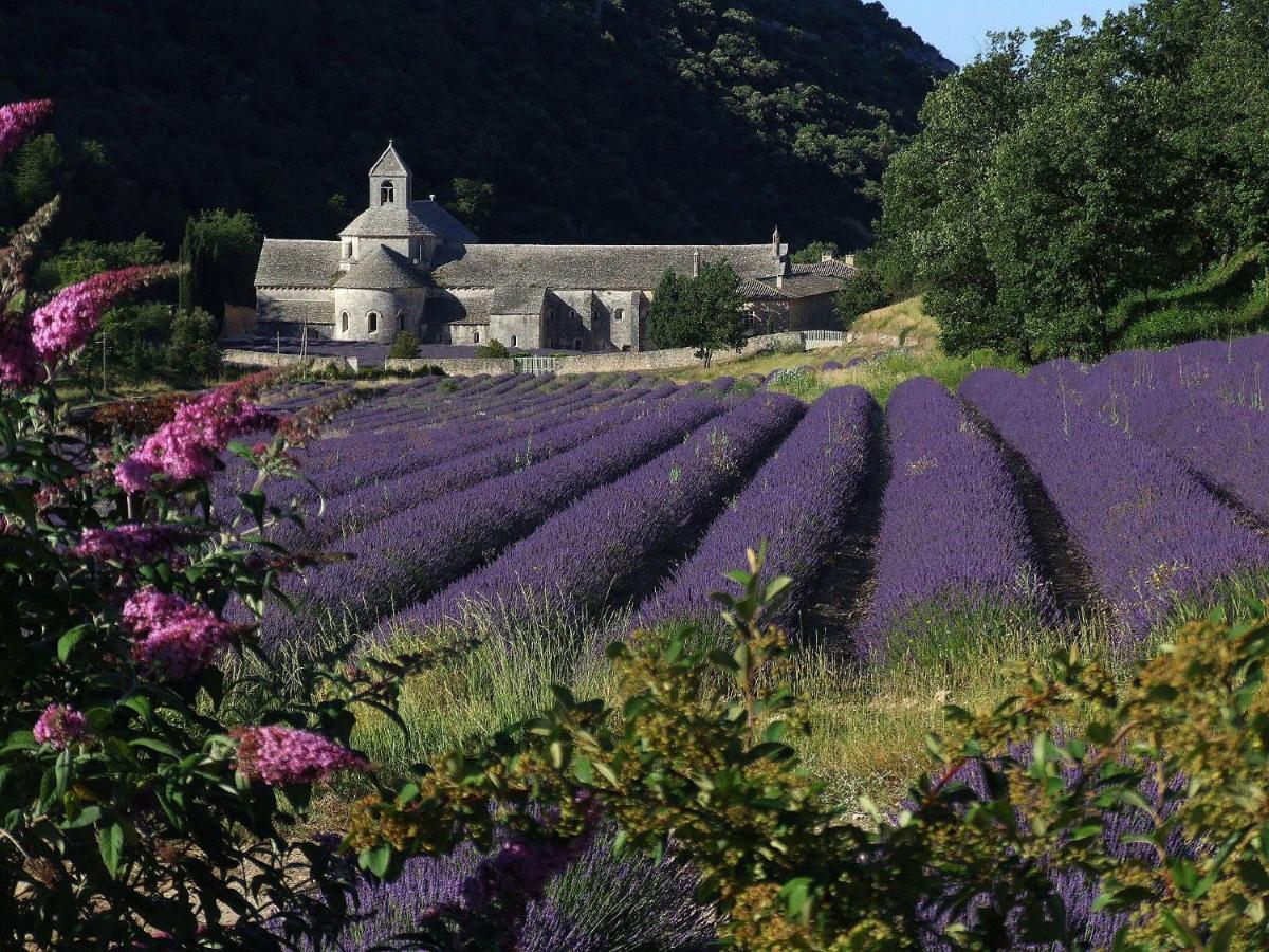 Les Cerises Bed and breakfast *