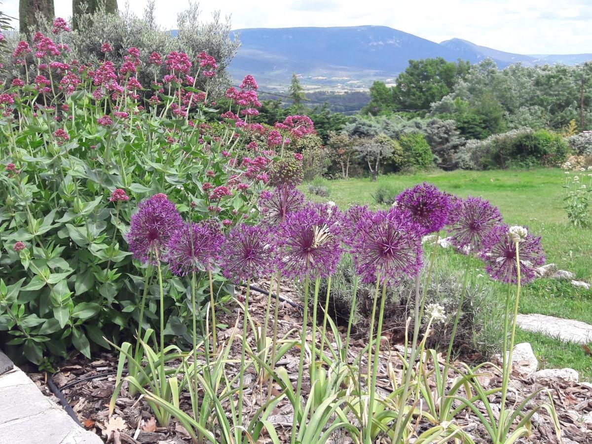 Les Cerises Saint-Saturnin-lès-Apt